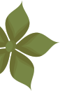 banner_left_top_shape