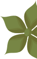 banner_right_bottom_shape