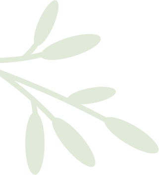 services_left_shape
